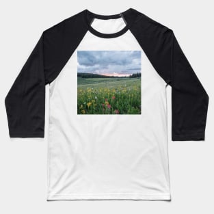 Wildflowers in the breeze II Baseball T-Shirt